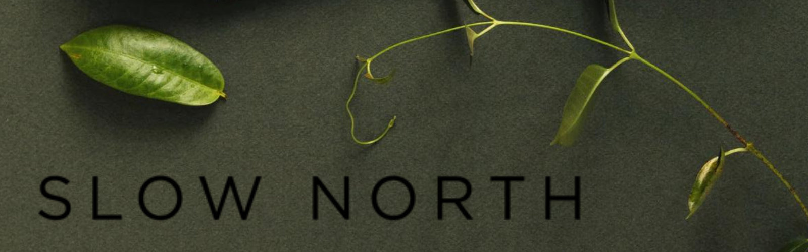 Slow North