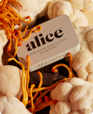 Alice Mushrooms Brainstorm - for sharp focus