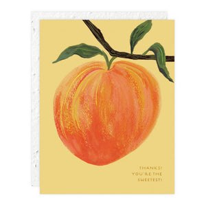 Seedlings Thank You Card | Peach