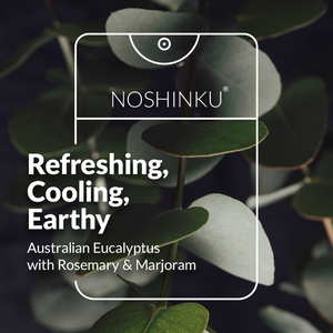 Noshinku Eucalyptus Moisturizing Pocket Hand Sanitizer