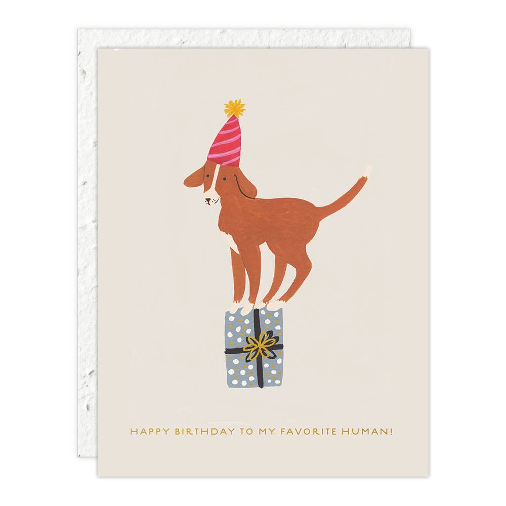 Seedlings Birthday Card | Birthday Dog