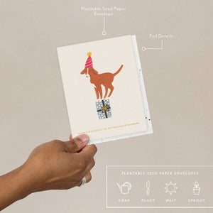Seedlings Birthday Card | Birthday Dog