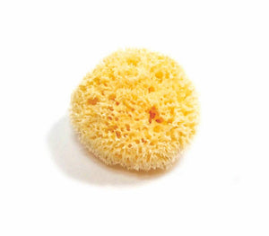 Smile Boutiques Natural Sea Sponge
