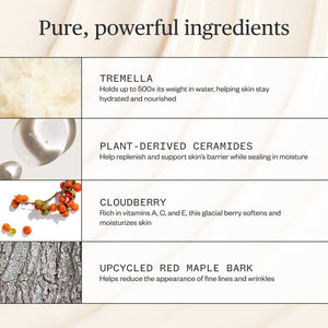 Ursa Major Alpine Rich Cream