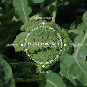 Fitglow Beauty Conceal+ | Targeted Treatment full coverage concealer with Plant Elastin , Vitamin K , Caffeine and Licorice