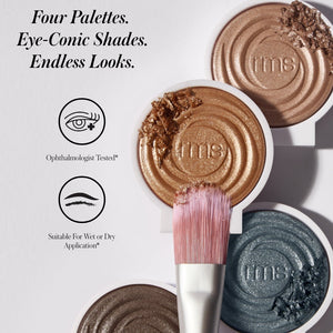 Makeup palettes with a brush on a light gray background, featuring the brand 'fms'.