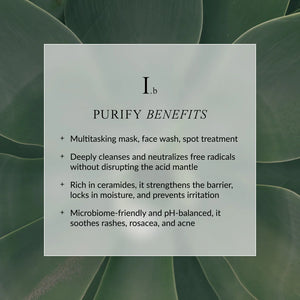 LINNE PURIFY Face Wash | Travel Size