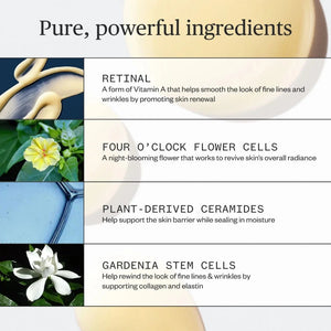 Ursa Major | Lunar Bloom Retinal Serum