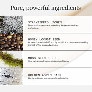 List of skincare ingredients with corresponding images and descriptions on a white background.