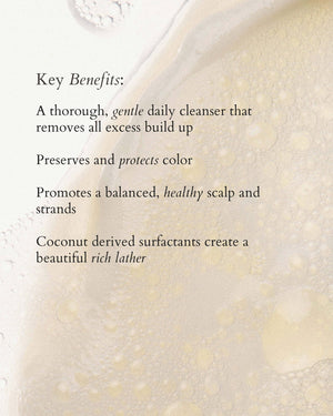 RŌZ Foundation Shampoo | Travel Size