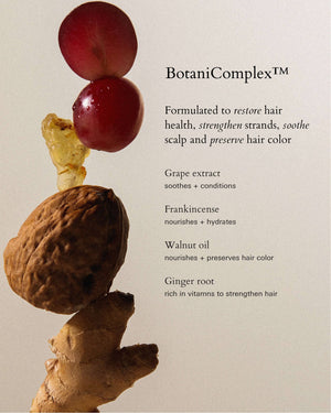 RŌZ Foundation Shampoo | Travel Size