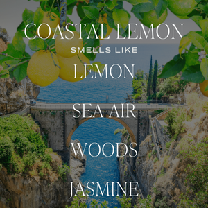 Sweet Water Decor Coastal Lemon Hanging Air Freshener