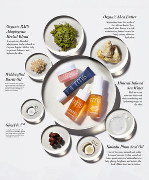 RMS Beauty Skincare Secrets Kit