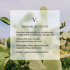 LINNE REPAIR Face Oil