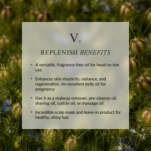 LINNE REPLENISH Everywhere Oil