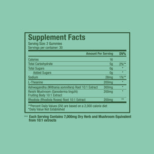 Plant People WonderCalm Mushroom Gummies