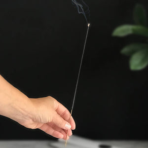 BOTANICA Signature | Hinoki Island Incense