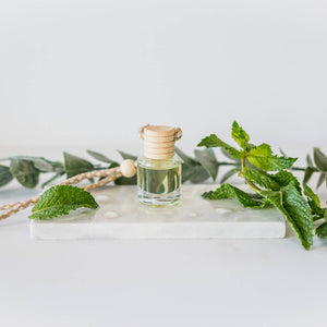 Ivy & Sage Collection - Cactus Flower: Car Diffuser: Packaged