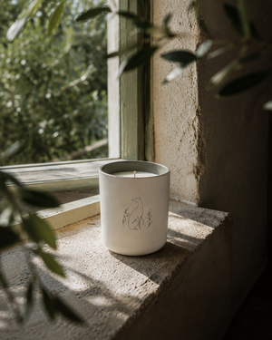 Bougie Poochie Candles Morning Walk Candle - Lime Leaves, Sage, Cedarwood