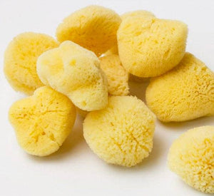 Smile Boutiques Natural Sea Sponge