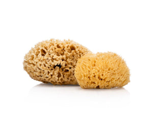 Smile Boutiques Natural Sea Sponge