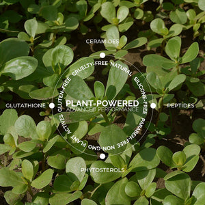 Fitglow Beauty Ceramide Hydra-Balm | Multi-Benefit Hybrid Lip Serum + Oil-in-One