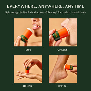 Kate McLeod The Everywhere Stick