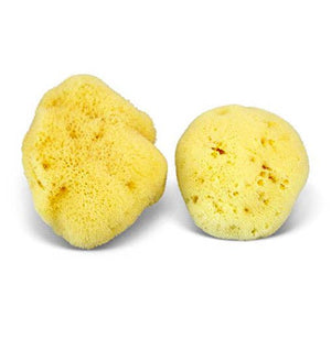 Smile Boutiques Natural Sea Sponge