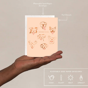Seedlings Birthday Card | Dog Kisses