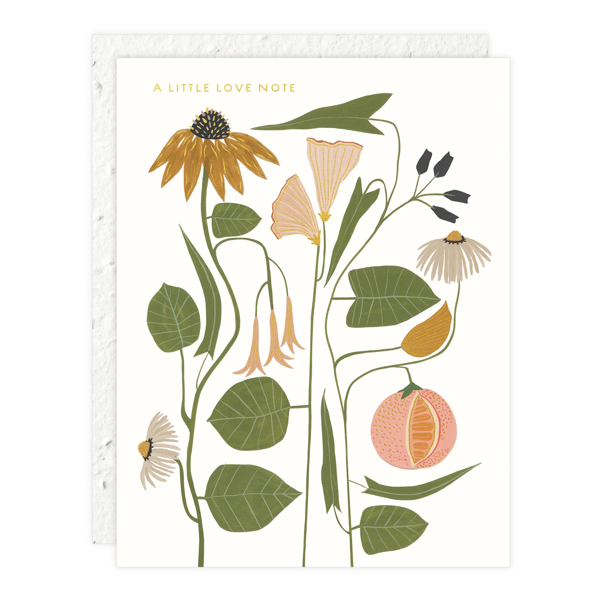 Seedlings Love + Friendship Card | Love Note