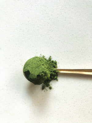 Anima Mundi Liver Vitality | Organic Green Detox | 4oz