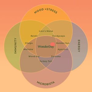 plant people WonderDay Mushroom Gummies