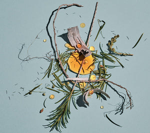 Heretic Pafum Dirty Hinoki | 15 ml