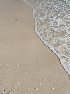 MARA Evening Primrose + Green Tea® Algae Retinol Face Oil