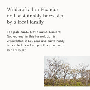 AnnMarie Skin Care Palo Santo Hair & Body Mist