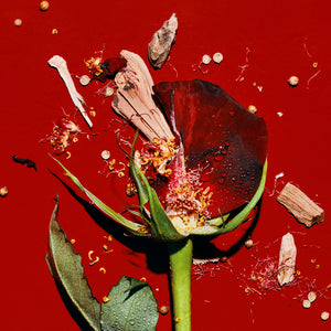 Heretic Parfum Scandalwood | 15 ml