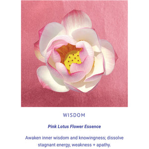 LOTUSWEI Flower Elixir | Divine Within