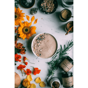 Anima Mundi ADAPTOGENIC IMMORTALITY : ORGANIC 7 MUSHROOMS + HEIRLOOM CACAO