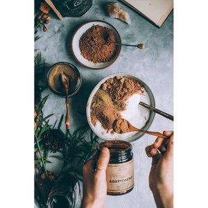 Anima Mundi ADAPTOGENIC IMMORTALITY : ORGANIC 7 MUSHROOMS + HEIRLOOM CACAO