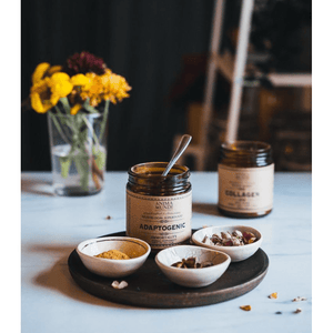 Anima Mundi ADAPTOGENIC IMMORTALITY : ORGANIC 7 MUSHROOMS + HEIRLOOM CACAO