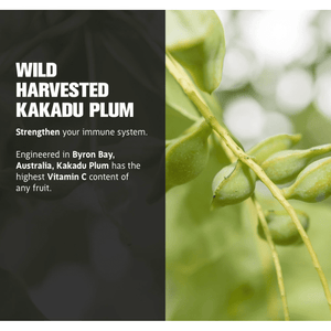 Life Cykel Mushrooms ~ Kakadu Plum