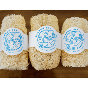 Common Joy Luffa Sponge ~ Locally Grown!