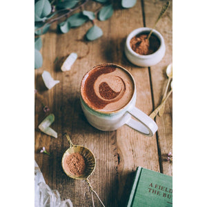 Anima Mundi Mushroom Mocha Milk | organic + vegan