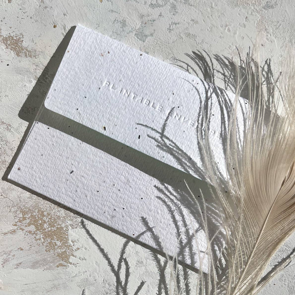 Seedlings Thank You Card | Peach