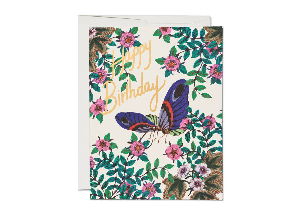 Red Cap Cards Delicate Butterfly Birthday Greeting Card