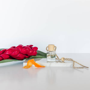 Ivy & Sage Collection - Volcano: Car Diffuser: Packaged