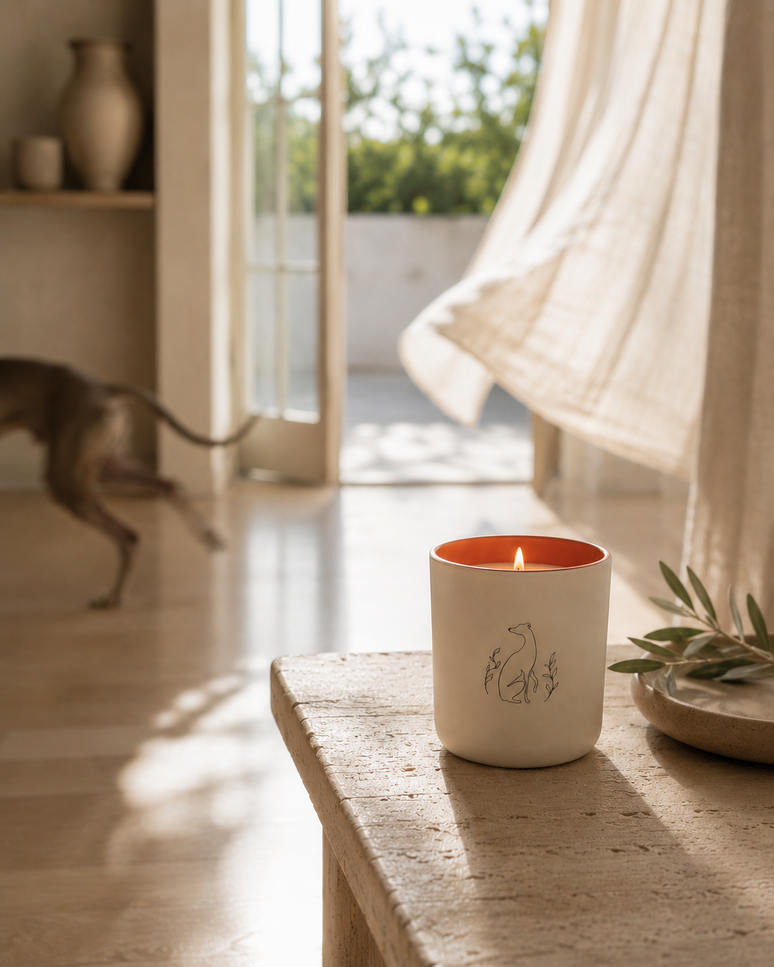 Bougie Poochie Candles Zoom Zoom Candle