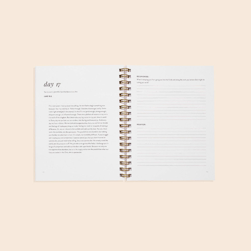 Paige Tate & Co. | Wholehearted: A Christian Coloring Book Devotional