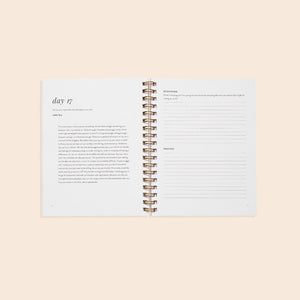 Paige Tate & Co. | Wholehearted: A Christian Coloring Book Devotional