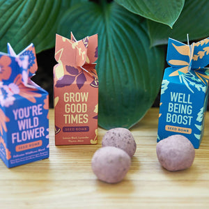 Modern Sprout Seed Bomb - Well Being